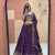 Elephant Threadwork Lehenga Choli Set