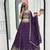 New Womens Latest Festive Wear  with Intricate Elephant Threadwork Lehenga Choli Set