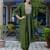 mehendi fancy chanderi kurta set
