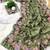 Mehndi Green Color  embroidery work  Silk Blend Saree