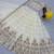 New Trendy Off White Designer Lehenga Choli with Heavy Embroidery Dupatta Set