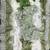 Light Green Color  embroidery sequence work georgette Saree
