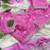 Magenta Color  embroidery sequence work georgette Saree