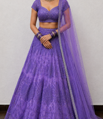 Glamorous Lehenga Choli with Zari Embroidery