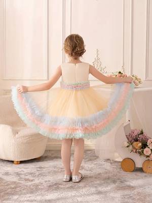 Pastel rainbow frill net party wear frock for girls 2
