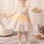 Pastel rainbow frill net party wear frock for girls