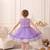 Purple rainbow frill net princess dress for girls