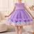 Purple rainbow frill net princess dress for girls