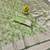 Light green zari woven banarasi silk blend saree with blouse piece