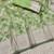 Light green zari woven banarasi silk blend saree with blouse piece