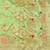Pista zari woven paithani silk blend saree with blouse piece