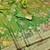 Green zari woven paithani silk blend saree with blouse piece