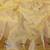 Gold zari woven paithani organza silk blend traditional saree with blouse piece