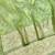 Green zari woven banarasi silk blend saree with blouse piece