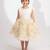 Ivory hand woven pure tissue dress