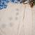 Women   s off-white straight cotton kurta pant set with floral organza dupatta set