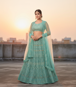 Women's Light Green Net Embroidered Semi-Stiched Lehenga With Unstiched Choli And Net Dupatta