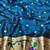 Firozi zari woven paithani silk blend saree with blouse piece