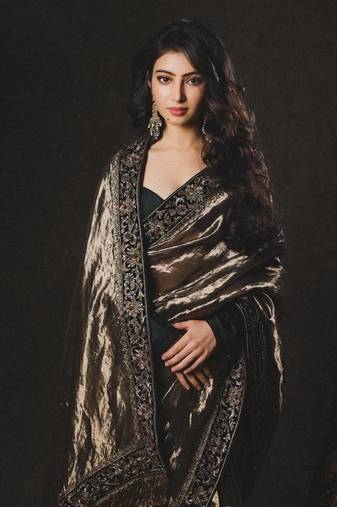 olive sequance and zari embroidery with fancy lace border silk saree