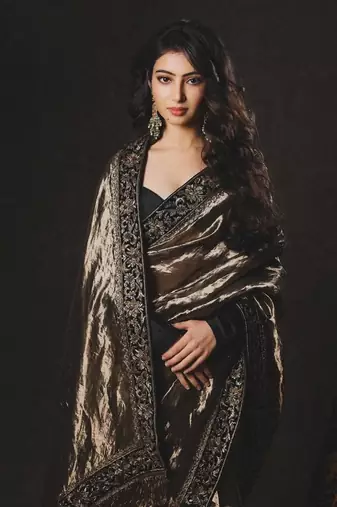 olive sequance and zari embroidery with fancy lace border silk saree