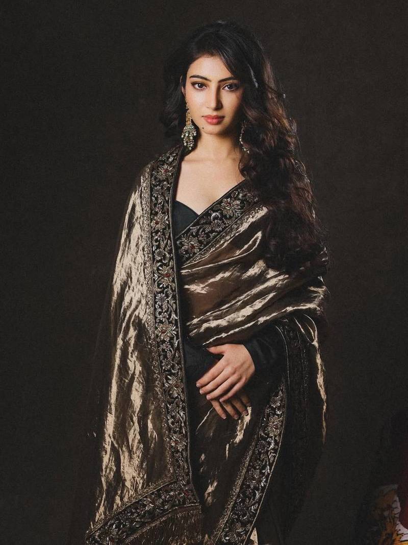 olive sequance and zari embroidery with fancy lace border silk saree