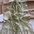 Sea Green Color thread embroidery work butta organza silk  Sraree