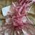 Onion Pink Color thread embroidery work butta organza silk  Sraree