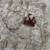 white sequin and zari embroidery silk saree
