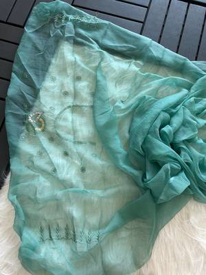 Teal Color embroidery sequins and detailed border work  chiffon saree  3