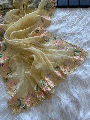 Light Yellow Color embroidery sequins and detailed border work  chiffon saree  2