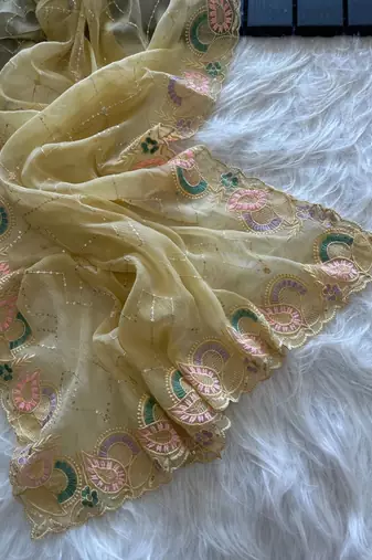 Light Yellow Color embroidery sequins and detailed border work  chiffon saree 