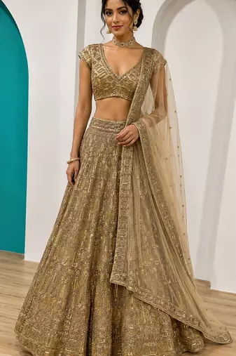 Traditional Designer Net With Sequins Work festival wedding Lehenga Choli