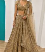 Traditional Designer Net With Sequins Work festival wedding Lehenga Choli