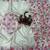 white-pink floral print with beads and katdana hand silk saree