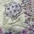white-purple floral print with beads and katdana hand silk saree