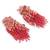 Cherry red pink long earrings with crystal hangings