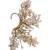 Crystal ivory shell earcuff