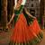 orange art silk plain lehenga choli