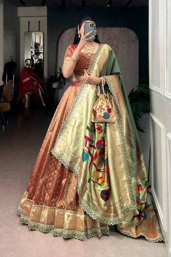 champagne organza printed lehenga choli