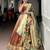 champagne organza printed lehenga choli
