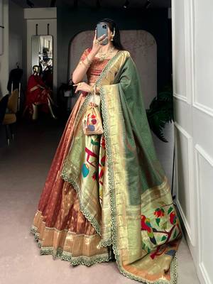 champagne organza printed lehenga choli 2