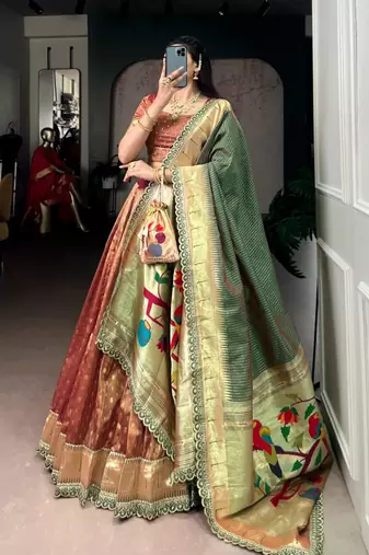 champagne organza printed lehenga choli