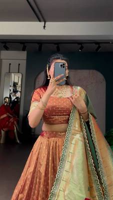 champagne organza printed lehenga choli 3