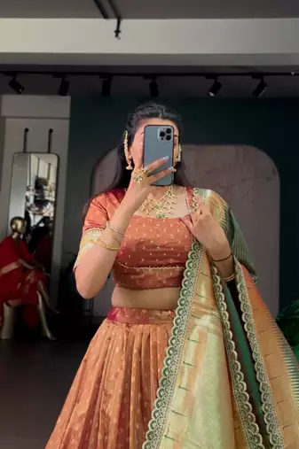champagne organza printed lehenga choli
