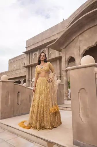 gold net embroidered lehenga choli