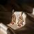Moissanite Kundan Red Stone Danglers