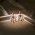 Moissanite Kundan Red Stone Danglers