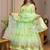 Lime organza printed anarkali set