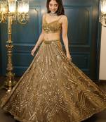 champagne net embroidered lehenga choli