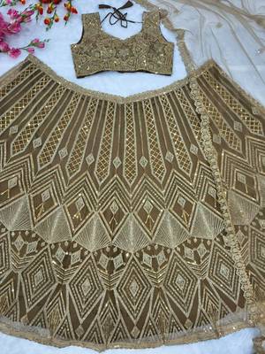 champagne net embroidered lehenga choli 2